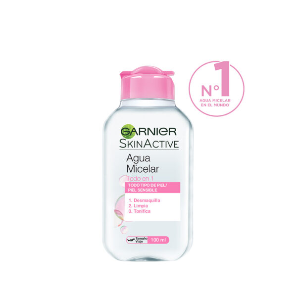 Garnier Agua Micelar Todo en 1 100ml